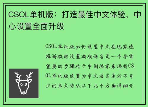 CSOL单机版：打造最佳中文体验，中心设置全面升级